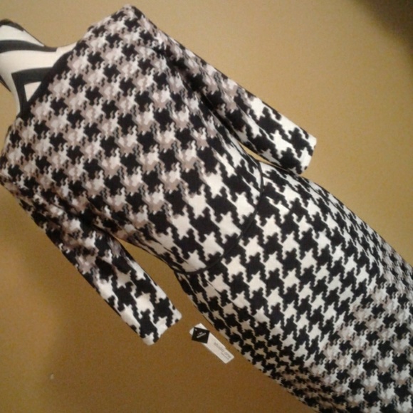 Nwt studio one dress sz6 - Picture 5 of 8